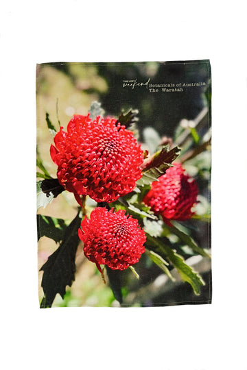 Waratah Set - A little lost weekend moment in your everyday.