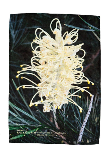 White Grevillea Moonlight Tea Towel | pic - A little lost weekend moment in your everyday.